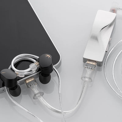 CHU II High Performance Dynamic Driver Iems Interchangeable Cable In-Ear Headphone